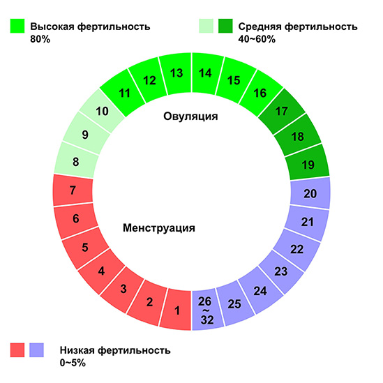 Какой день лучше для зачатия